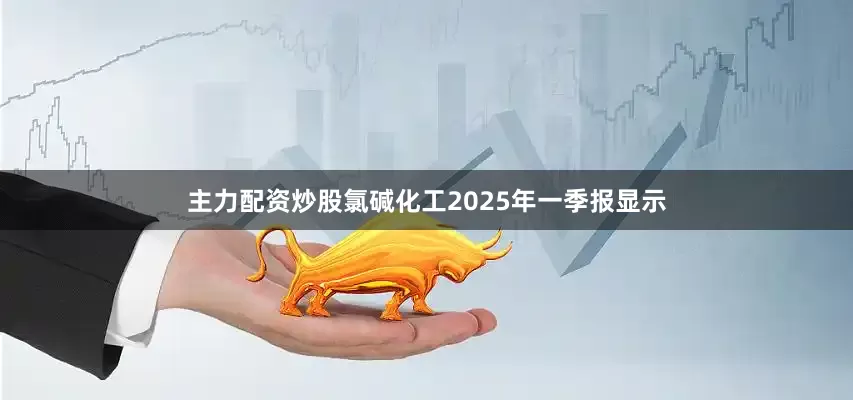 主力配资炒股氯碱化工2025年一季报显示