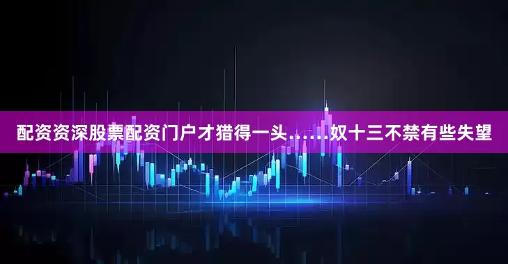 配资资深股票配资门户才猎得一头……奴十三不禁有些失望