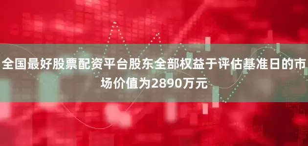全国最好股票配资平台股东全部权益于评估基准日的市场价值为2890万元