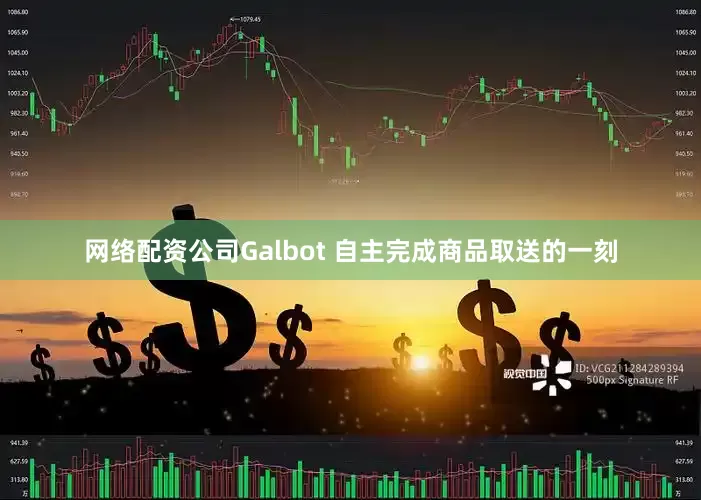网络配资公司Galbot 自主完成商品取送的一刻