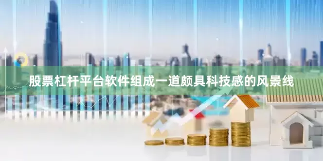 股票杠杆平台软件组成一道颇具科技感的风景线